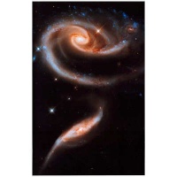 (11x17) Rose Galaxy Hubble Space Photo Art Poster Print