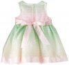 Bonnie Baby Baby-Girls Infant Ombre Stripe Dress, Pink, 12 Months