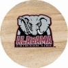 Thirstystone Natural Sandstone Set of 4 Coasters University of Alabama