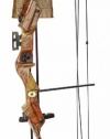 Arrow Precision Buck 20-Pounds Compound Archery Set