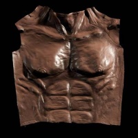 Werewolf Chest Brown Costume Accessory