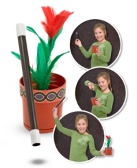 This perennial favorite never fails to amaze!  The magician waves the magic wand, says the magic word, taps the flowerpot, and POOF a beautiful flower appears. Easy to master, this illusion is perfect for the beginning magician.