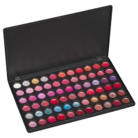 Coastal Scents 66 Color Lip Palette