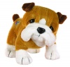 Webkinz Bulldog