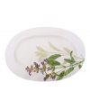 A natural for casual dining, the Althea Nova oval platter by Villeroy & Boch features durable porcelain planted with delicate herbs for a look that's fresh from the garden. With green trim.