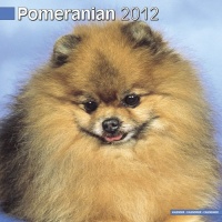 Pomeranian 2012 Wall Calendar #10060-12