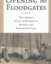 Opening the Floodgates: Why America Needs to Rethink its Borders and Immigration Laws (Critical America (New York University Paperback))