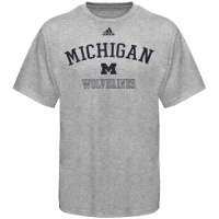 adidas Michigan Wolverines Ash Practice T-shirt