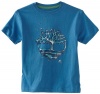 Timberland Boys 2-7 Cool Bubble Ringer Tee, Blue, 6