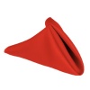 17 in. Polyester Napkins (1dz) Red