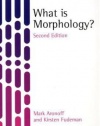 What is Morphology