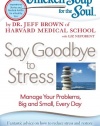 Chicken Soup for the Soul: Say Goodbye to Stress: Manage Your Problems, Big and Small, Every Day (Chicken Soup for the Soul (Quality Paper))