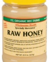 Y.S. Eco Bee Farms Raw Honey - 22 oz