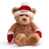 Gund 2012 Amazon Collectible Bear