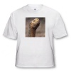 Ecuador, Galapagos Islands, Giant tortoise - SA07 MDE0199 - Michael DeFreitas - Youth T-Shirt XS(2-4)