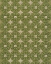 Area Rug 5x8 Rectangle Transitional Grass Color - Momeni Veranda Rug from RugPal