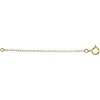 14k Yellow Gold Chain Necklace Extender and Safety Chain