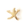 Starfish Ring Size 6 Gold Aquatic Coral Reef Creature Ocean Mermaid Beach Fashion Jewelry