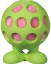 JW Pet Company Hol-Ee Cuz Small Dog Toy, Colors Vary