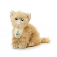 Aurora Plush 12 Pumpkin, Aurora Babies Honey Color Persian Kitten