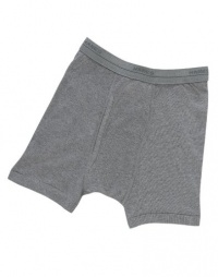 Hanes Toddler Boys' Boxer Briefs 3-Pack # TB74AS