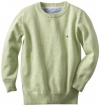 Tommy Hilfiger Boys 2-7 Derrill Sweater, Morning Dew Green, 4 Regular