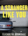 A Stranger Like You: A Novel