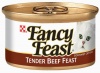 Fancy Feast Gourmet Cat Food, Tender Beef Feast, Classic, 3-Ounce Cans (Pack of 24)