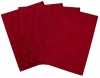 Lenox Holly Damask Placemat 4-Pack, Red