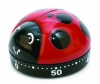 Kikkerland Ladybug Kitchen Timer