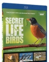 Secret Life of Birds - Blu-ray