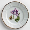 Anna Weatherley Old Master Tulips Salad Plate Pink/White