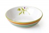 Clay Art Floral Stripe 11-Inch Serving Bowl