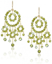 Jamie Kole Classic 14k Gold Fill and Swarovski Crystal Multi-Circle Earrings