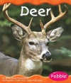 Deer (Woodland Animals)