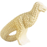 Nylabone Durable Dental Dinosaur Chew Toy (Dinosaur Varies)