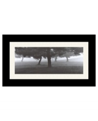 Trees in the Fog offers an eerie, dream-like perspective of the world below the boughs in black and white. An alluring panorama in any room and décor, this art print sets a serene, contemplative mood. Framed in recycled wood with black finish and gently rounded corners.