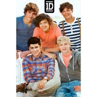 (24x36) One Direction Bench Music Poster