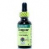 Nature's Answer Skullcap Herb, 1-Ounce