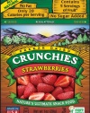 Crunchies Freeze-Dried Fruit Snack, Strawberries, 1-Ounce Pouches (Pack of 6)