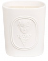 To celebrate 50 years of creation, innovation and passion for perfume in all its forms, the 34 boulevard saint germain range pays homage to an unusual history. This LIMITED EDITION candle scent was inspired by the atmosphere of the workshop of Desmond Knot-Leet, one of the three founders of the brand.The fragrance expresses the eclectic nature of the subtle, unusual collection, from which the creators drew their inspiration.