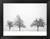 Silhouettes Of Winter II by Ilona Wellmann Framed Fine Art Print