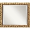 Florentine Medium Mirror in Antique Gold Rococo