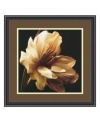 Discover the intricate folds and delicate beauty of a perfect bloom in Timeless Grace I by Charles Britt. Floating on a dark ground, this floral portrait is a fresh perspective on the natural world. Display with the rest of the Timeless Grace series for dramatic effect. In black frame with beaded edge.