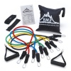 Black Mountain Products Resistance Band Set with Door Anchor, Ankle Strap, Exercise Chart, and Resistance Band Carrying Case