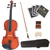 Cecilio 4/4 CVN-100  Solid Wood Student Violin