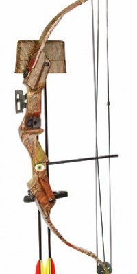 Arrow Precision Buck 20-Pounds Compound Archery Set