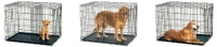 Midwest Life Stages Single-Door Folding Metal Dog Crate, 42 Inches by 28 Inches by 31 Inches