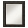 Hemingway Medium Mirror in Dark Bronze