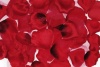 Darice RC-7210-02, Big Value Rose Petals, 300-Piece, Red